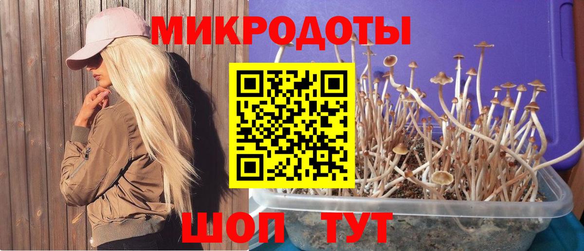 Дальнереченск  Галлюциногенные грибы Cubensis  Вход с VPN 
